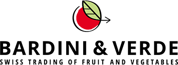 Logo Bardini & Verde AG
